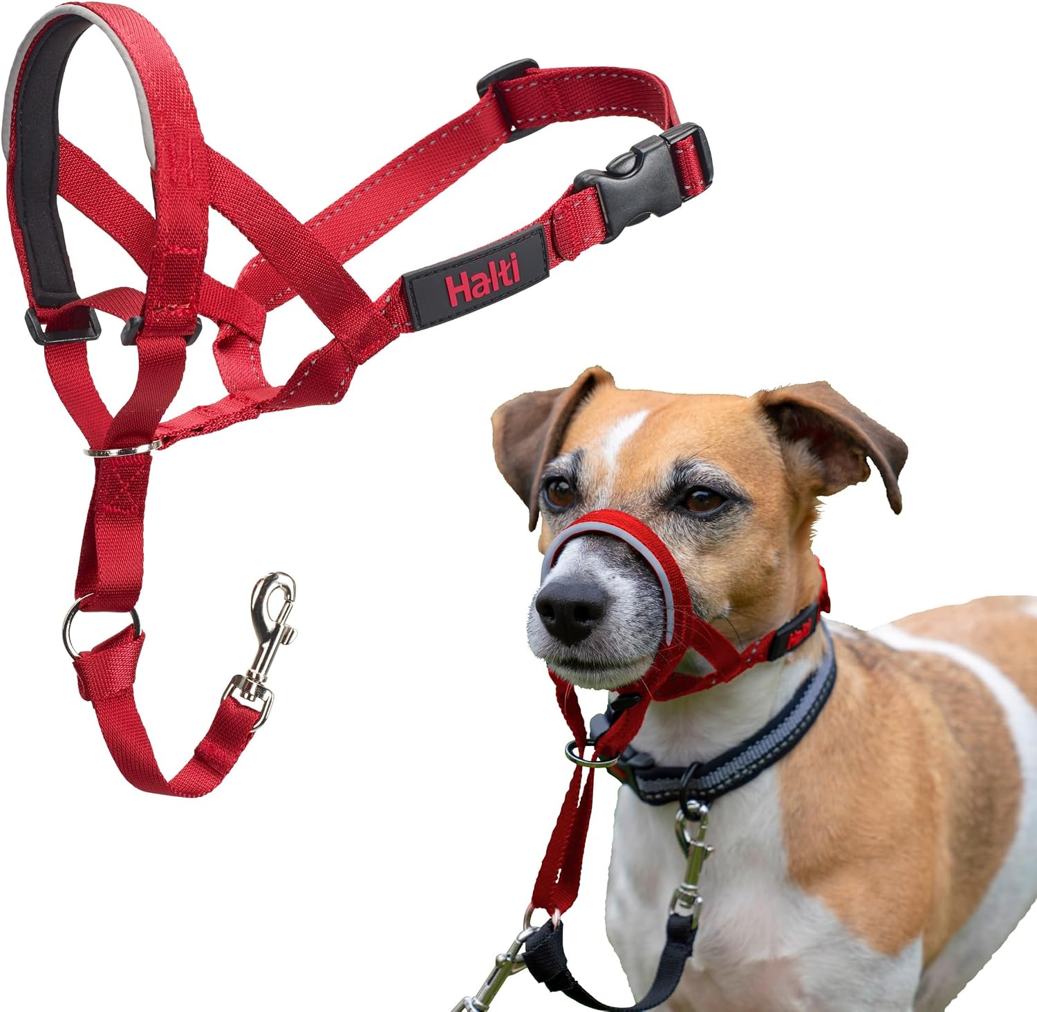 Thumbnail 6 de Halti Halfter Hundetraining Halsband Größe 2 Rot