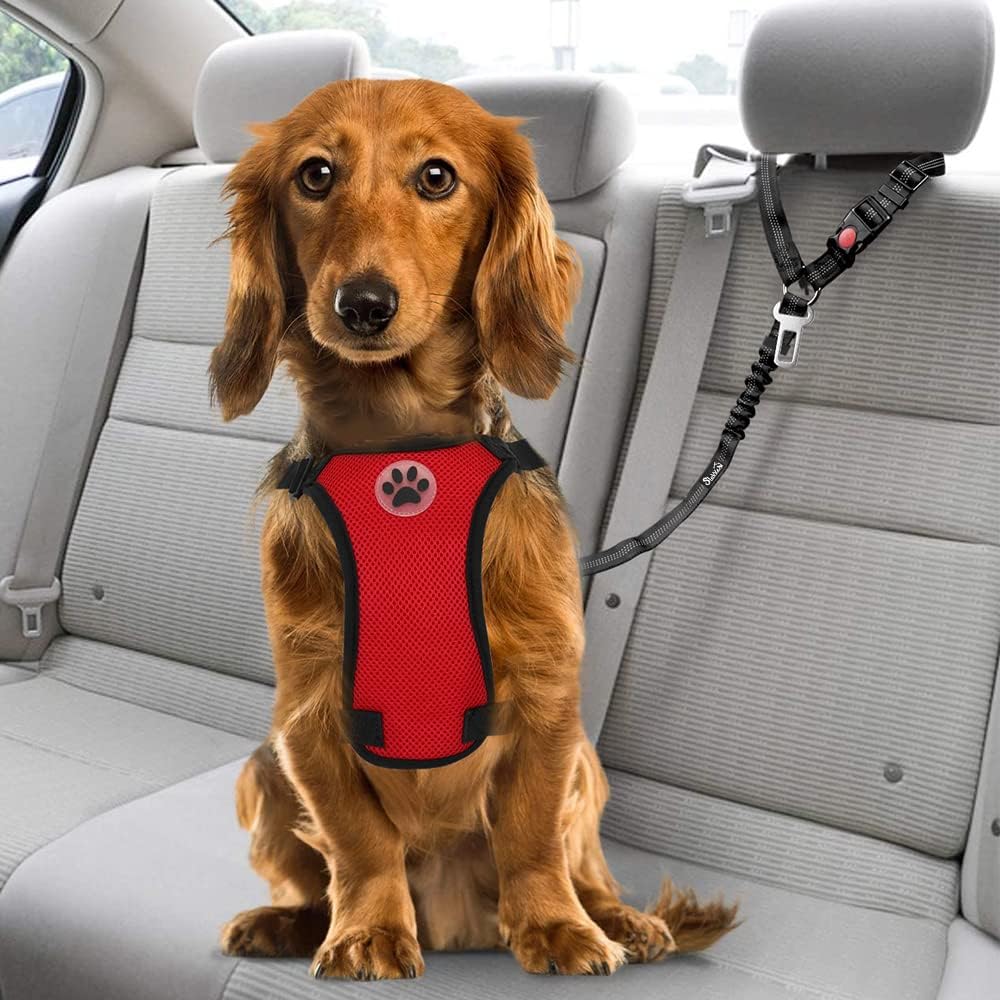 Thumbnail 2 de SlowTon Hundegurt fürs Auto – 2-in-1 Kopfstützen-Rückhaltegurt mit Universalschnalle und reflektierendem Band