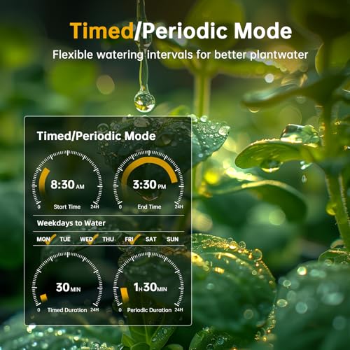 Detalle 2 de AnseTo Programador de Riego WiFi con Concentrador WiFi: control remoto y retardo por lluvia para jardines, invernaderos y césped