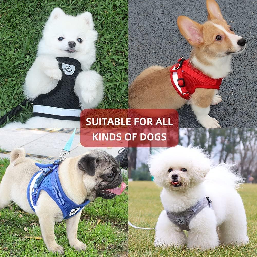 Thumbnail 4 de DARENYI Adjustable Dog Harness 29–32.7 cm