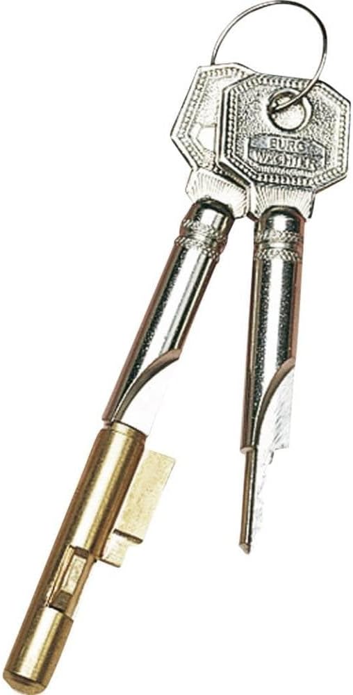 Detalle de Burg Wächter Schlüssellochsperrer für Einsteckschlösser, E 7/3 SB, 04481, Gold – 7 mm