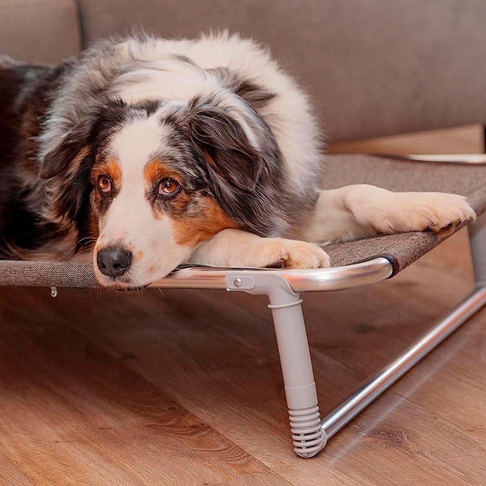 Detalle de Ferplast Lettino per Cane Dream 100: cuccia leggera e resistente per cani di taglia media