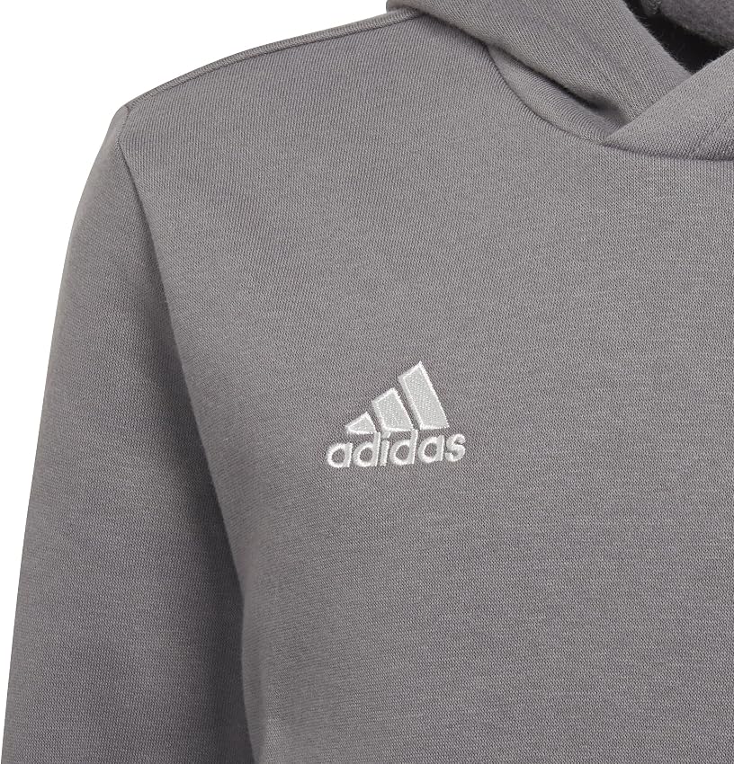 Detalle 2 de adidas Entrada 22 Sweat Hoodie niños 5-6 años