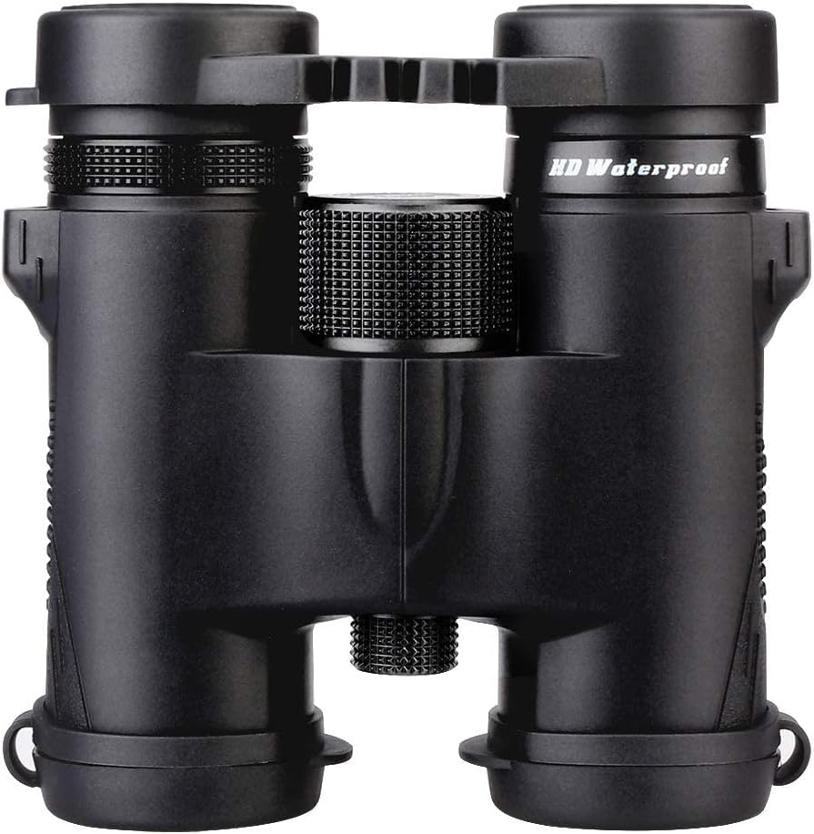 Svbony SV47 Jumelles 10x42 : observation lumineuse et fiable pour la chasse et l’extérieur