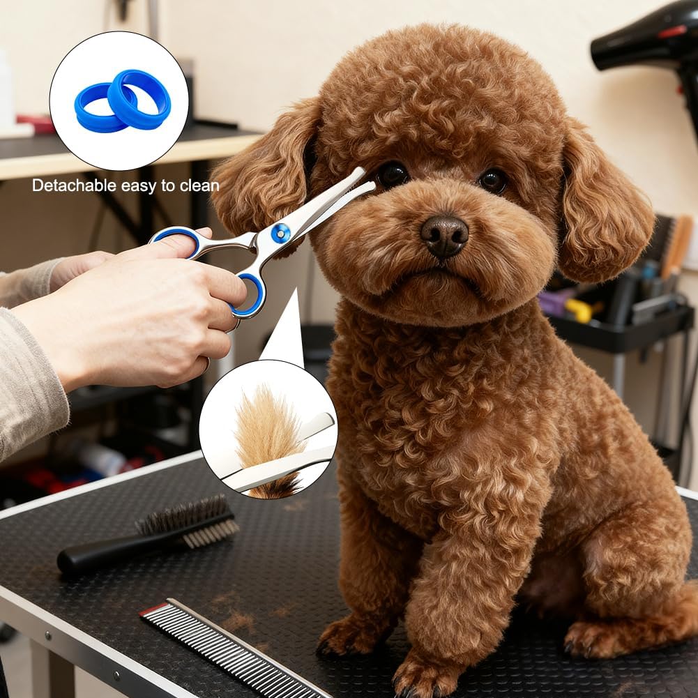Detalle de AYBUY forbici per toelettatura animali domestici con punta rotonda di sicurezza, in acciaio inox, per cani e gatti – blu