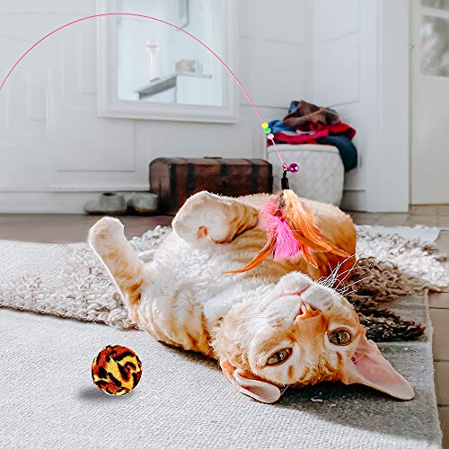 Detalle de GOLDGE Jouets Chat Interactif, 16 pièces – stimulation et jeu pour chat