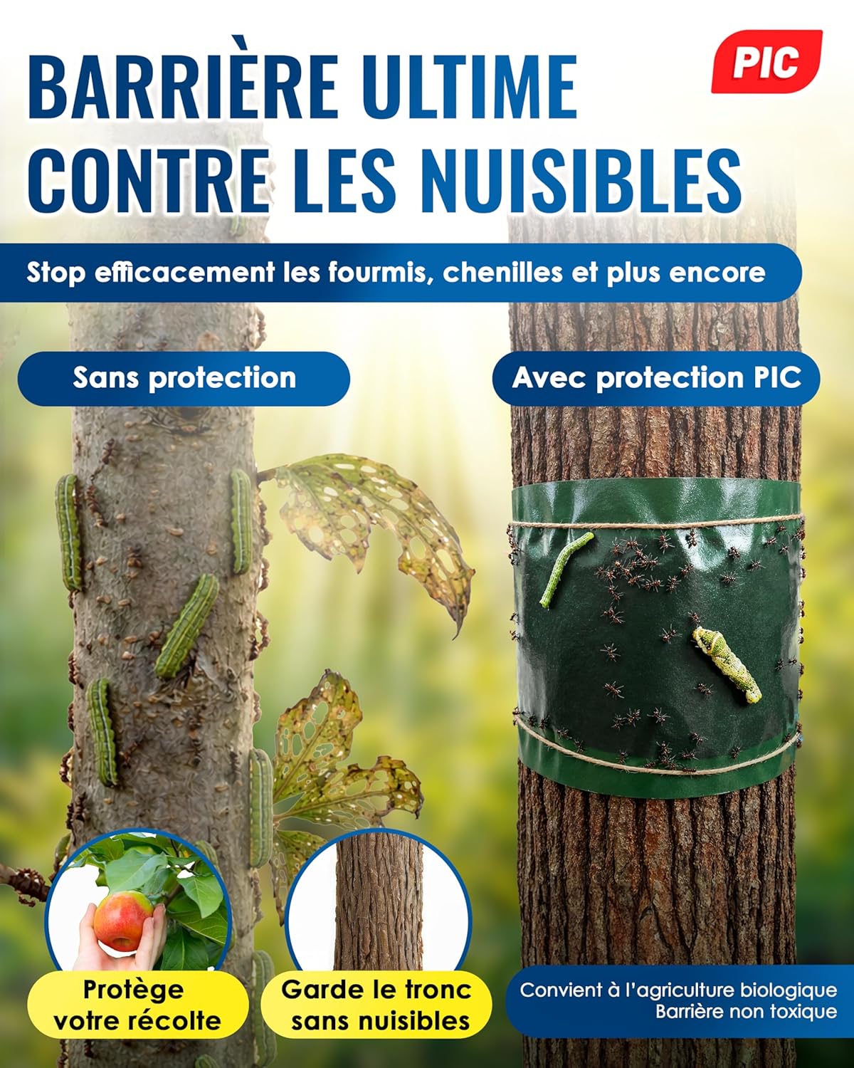 Thumbnail 1 de PIC Bande Glue Arbre Fruitier – bande de colle arboricole anti-fourmis, 10 mètres