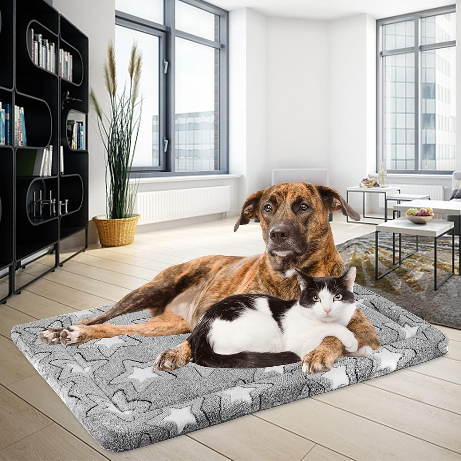 Detalle 2 de EMPSIGN Cuscino per cani taglia grande reversibile in schiuma ad alta densità 137 x 84 x 2,8 cm, grigio