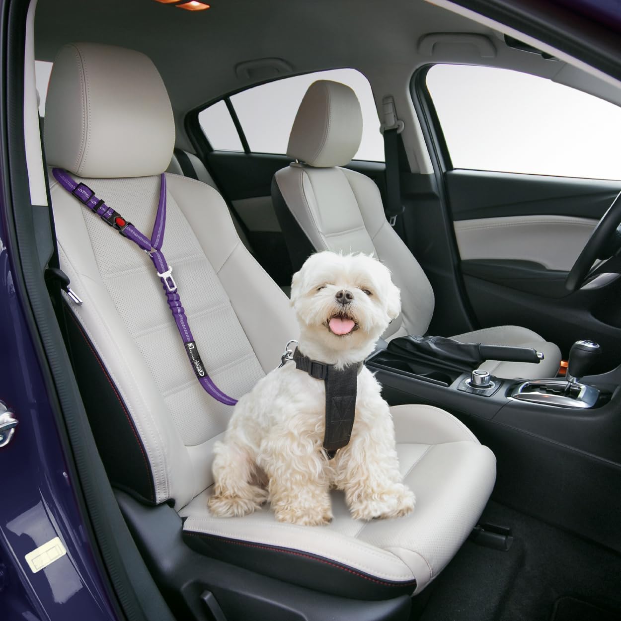 Thumbnail 2 de Comfortable Dog Seat Belt Harness for Car (Purple) – 2-in-1 leash and restraint to headrest with 360° swivel