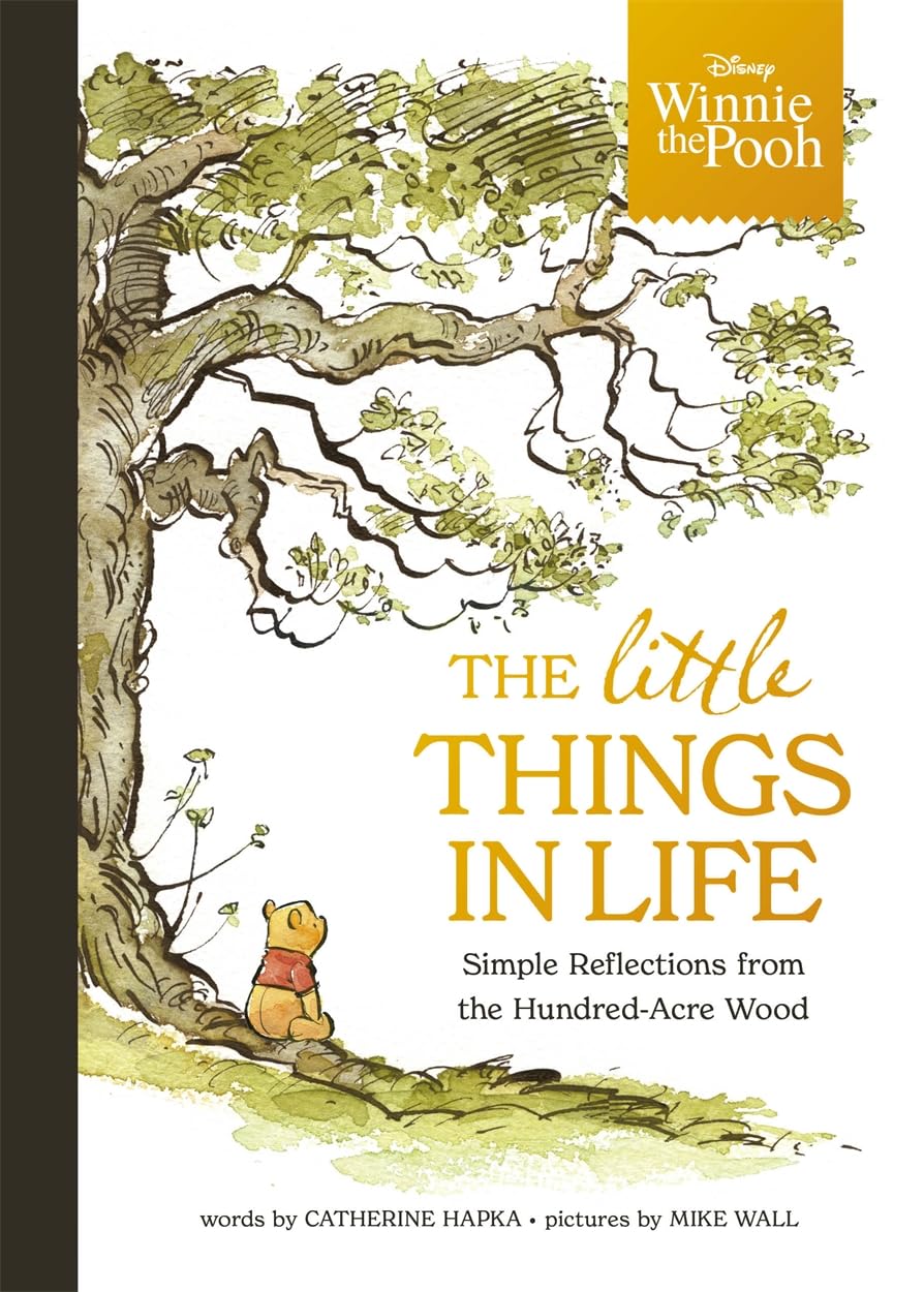 Disney Winnie the Pooh The Little Things in Life book 📚