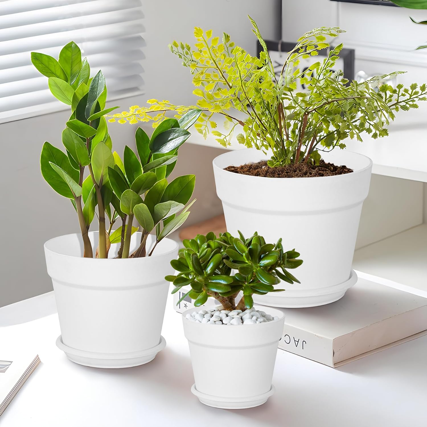 Detalle de Solvant: Set di 6 vasi per piante da esterno con sottobicchieri e do entrati, 16 cm, bianco