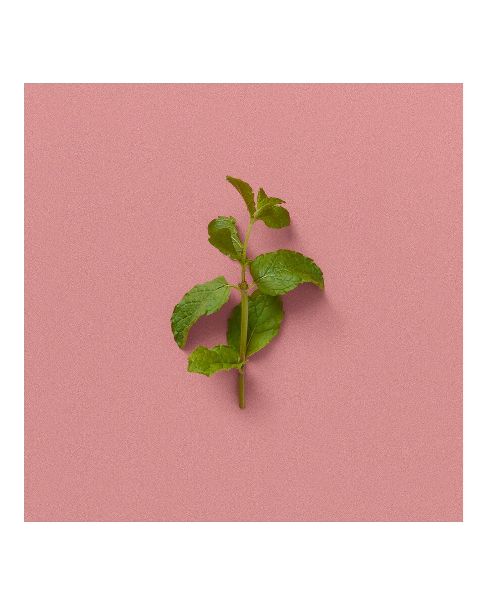 Thumbnail 3 de Gucci The Alchemist's Garden A Gloaming Night 100 ml 🌸