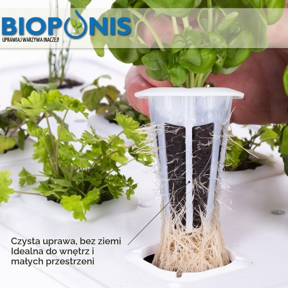 Detalle de Bioponis Bamboo 1 – hydroponiczny ogród do ziół, LED, bambus, 8 miejsc