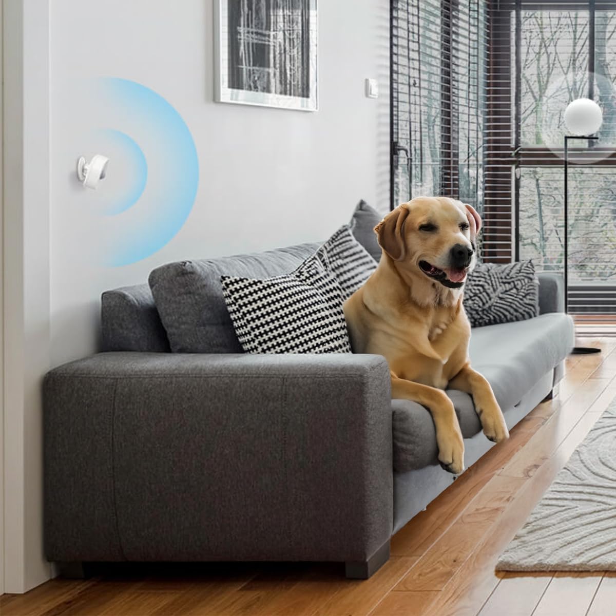 Thumbnail 4 de TP-Link Tapo T100 Motion Sensor