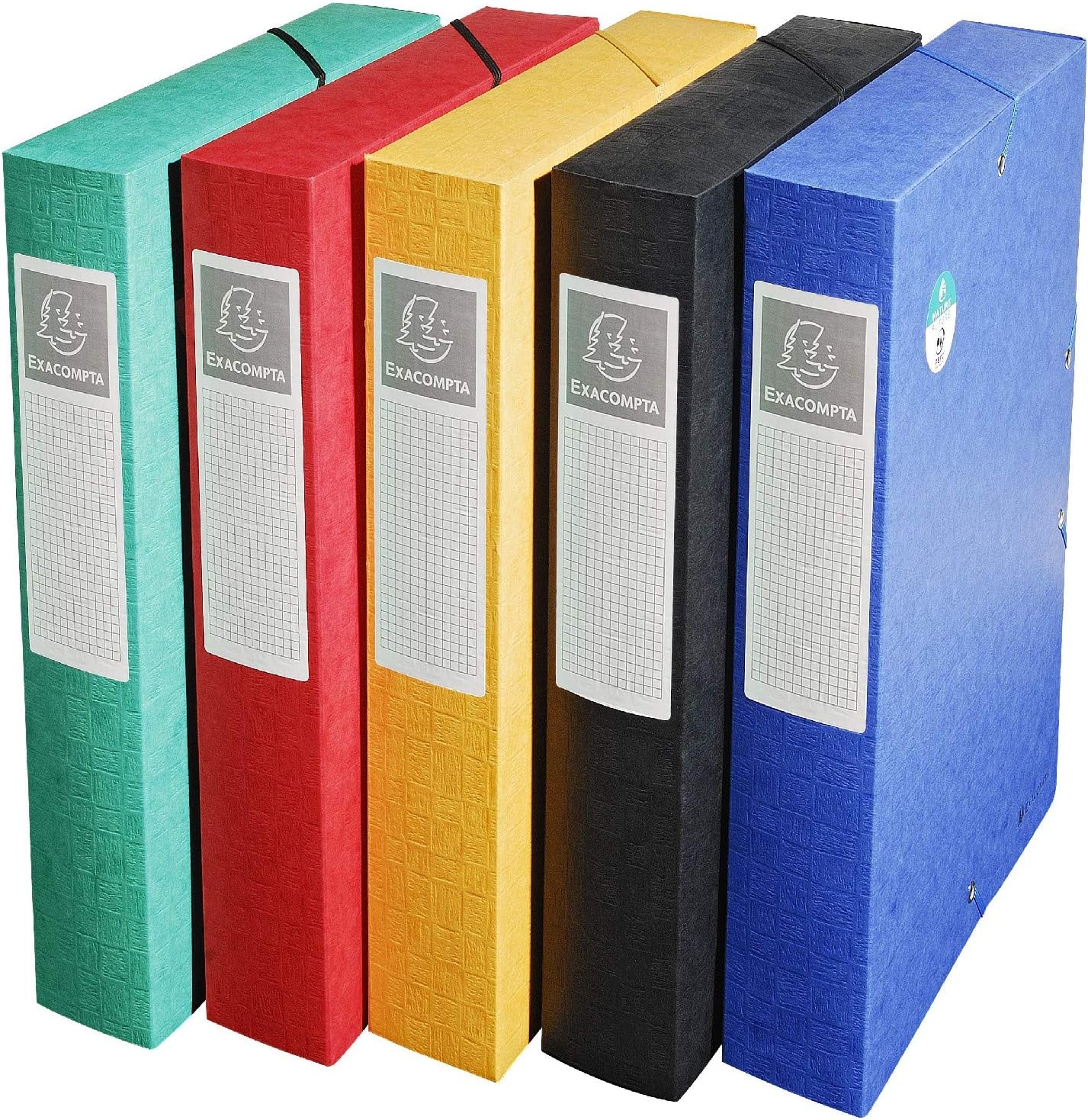 Exacompta 50910E – 10 boîtes de classement Scotten avec élastiques, A4, 25 × 33 cm, livré monté