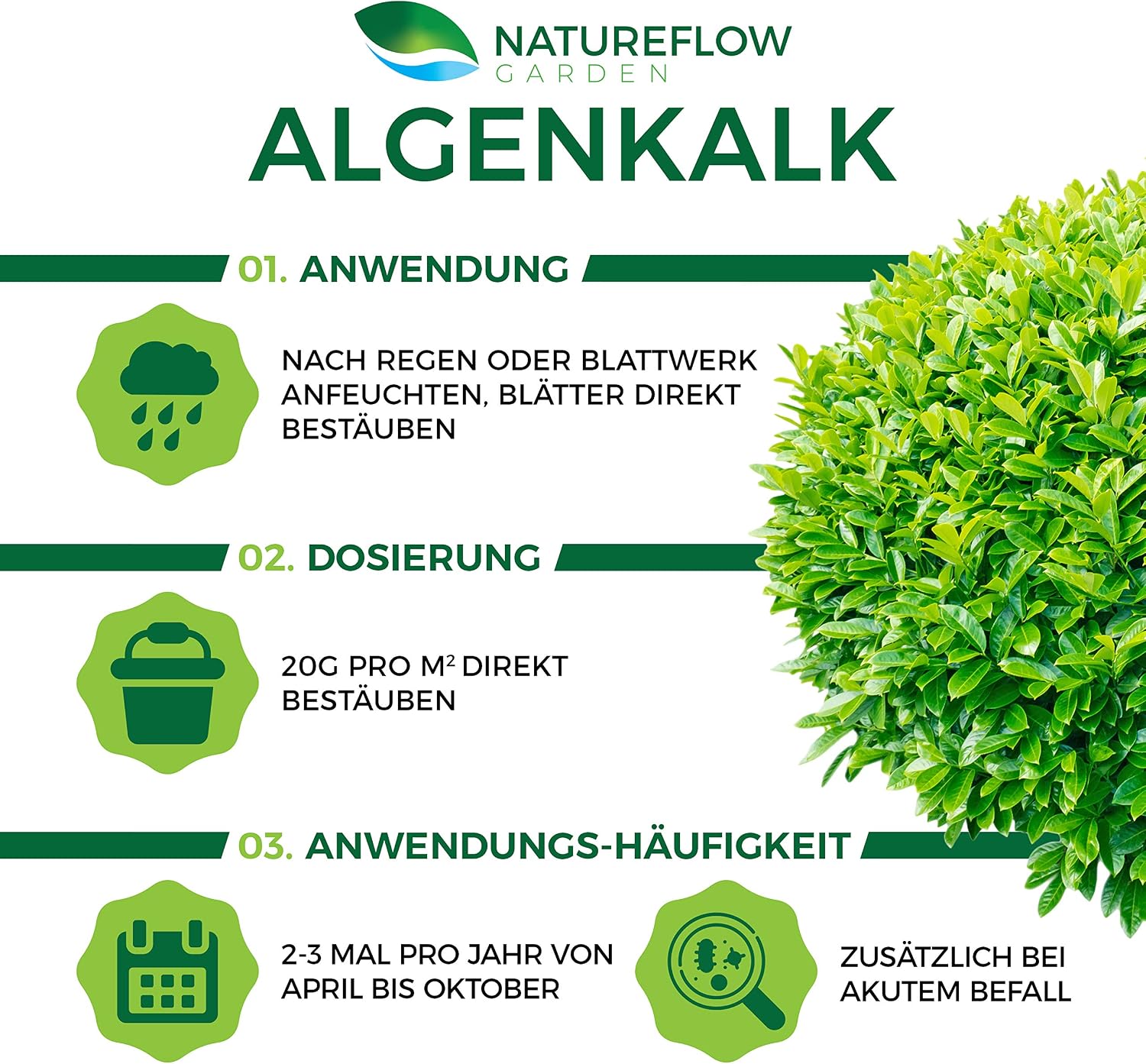 Detalle de TESTSIEGER Bio Algenkalk für Buchsbäume – Widerstandskraft und Regeneration, 2,5 kg