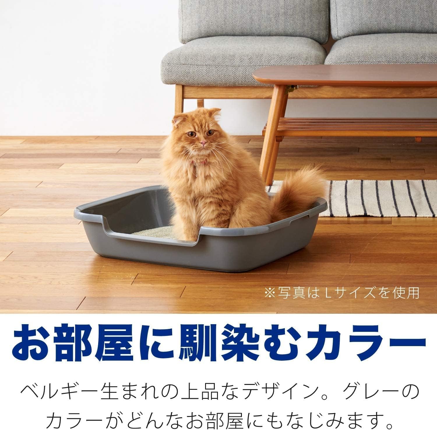 Thumbnail 6 de OFT Kitty and Puppy Pan L 猫用トイレ ポリプロピレン製・入口高さ8cm
