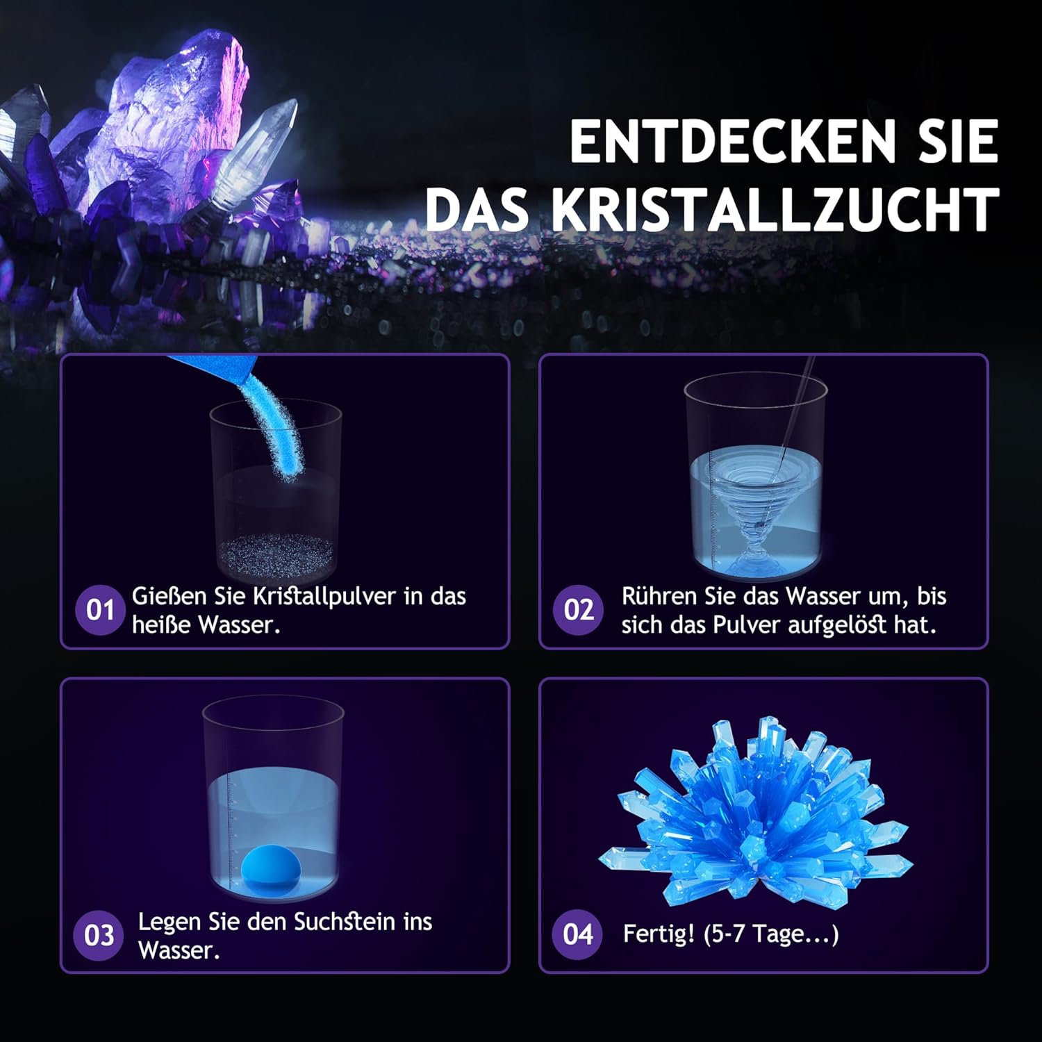 Thumbnail 3 de Japace Ausgrabungsset für Kinder 🔬