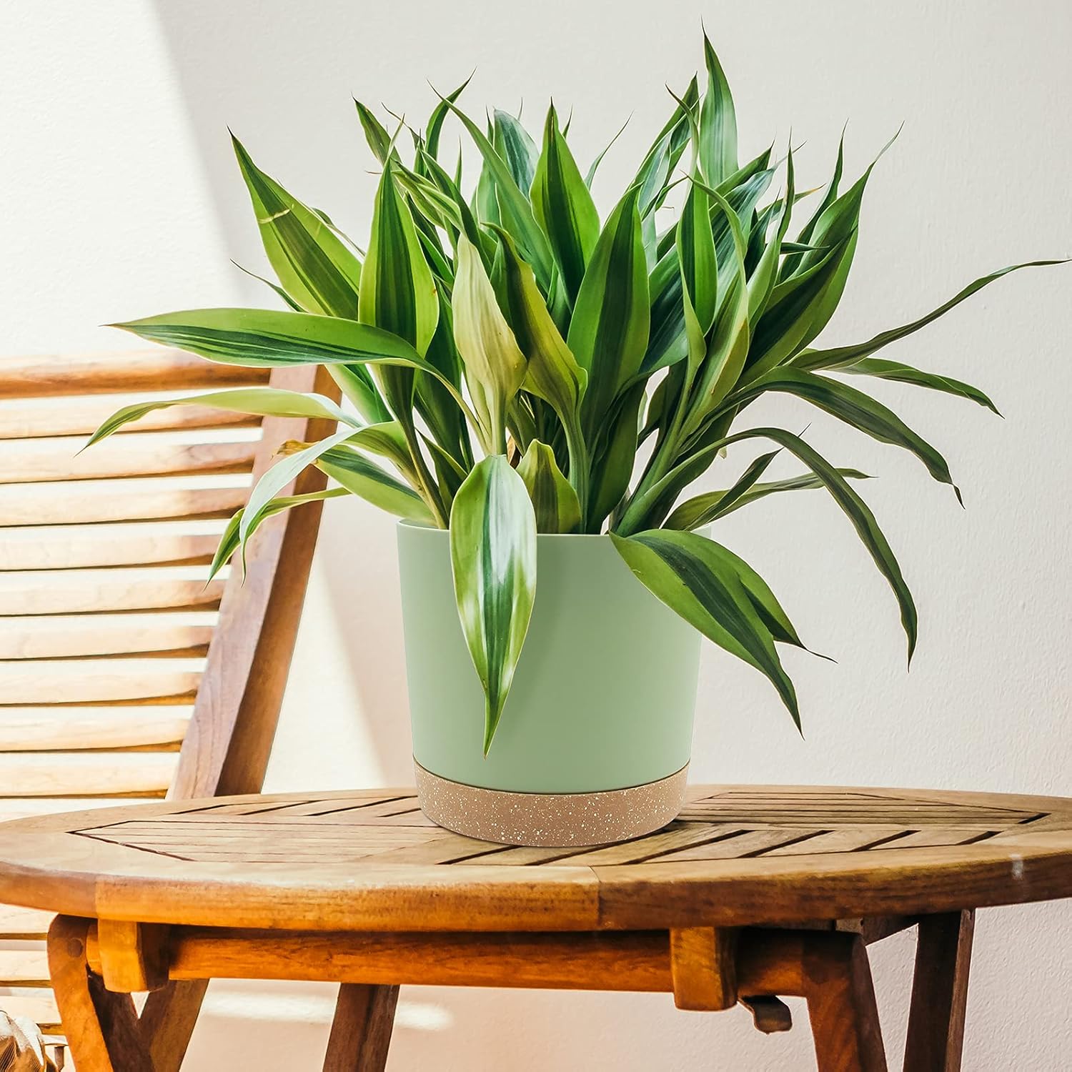 Thumbnail 4 de QCQHDU 20cm Plant Pot (2-Pack) with Drainage Holes & Saucer, Green