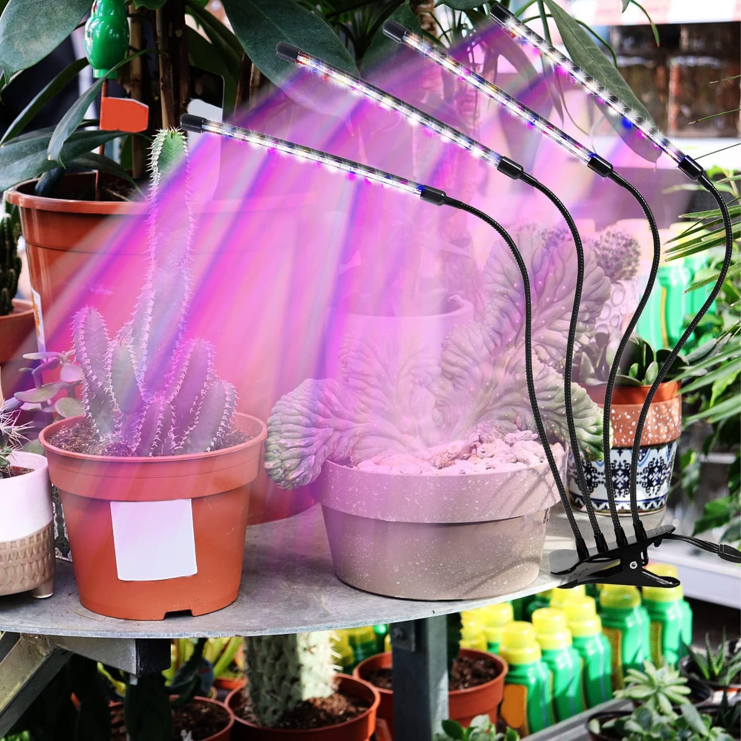 Detalle 2 de LEOTER 100-2025 Indoor Grow Light with 80 LEDs, Timer and Gooseneck