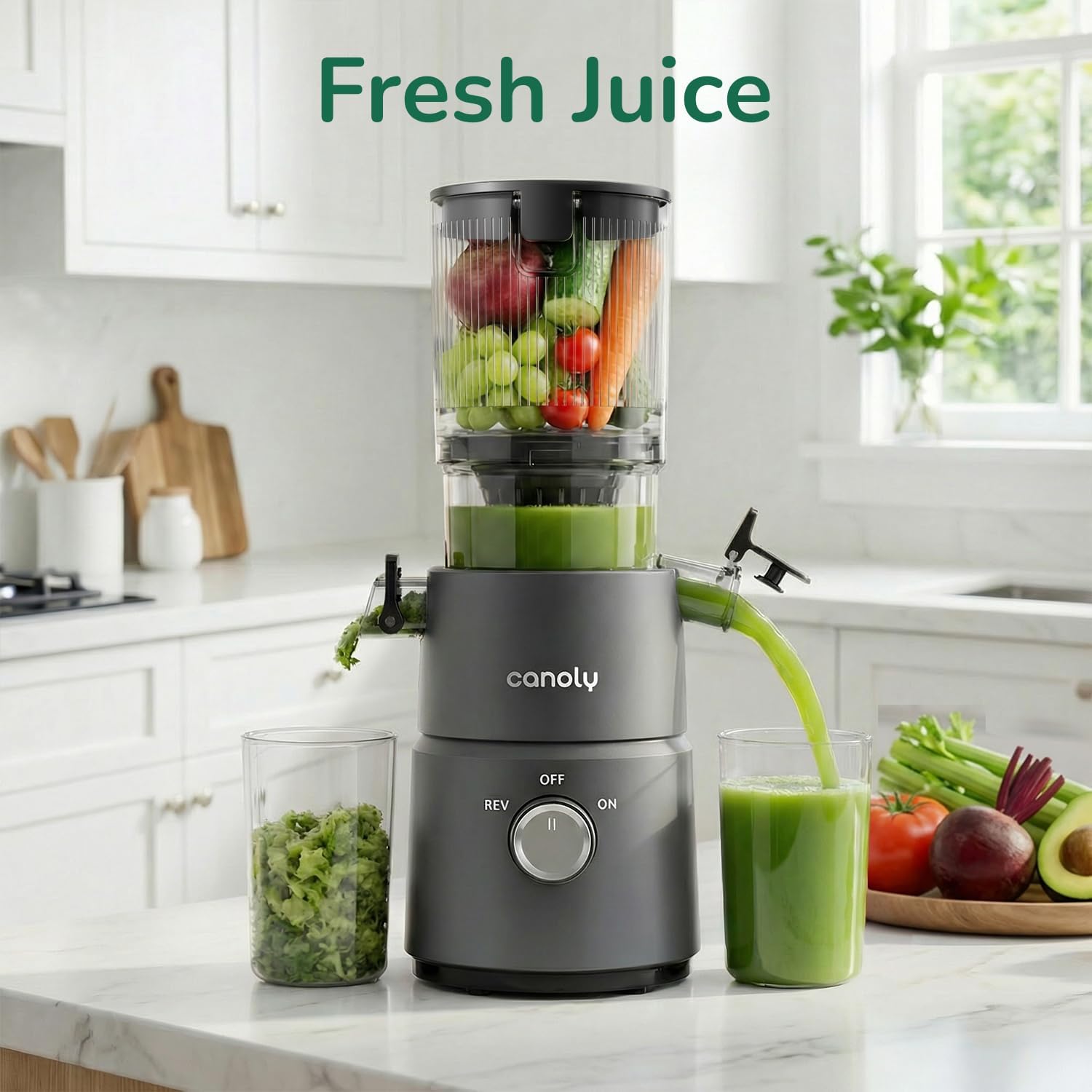 Detalle de Canoly C03 Cold Press Juicer, 4.5-Inch Feed Chute, 200W