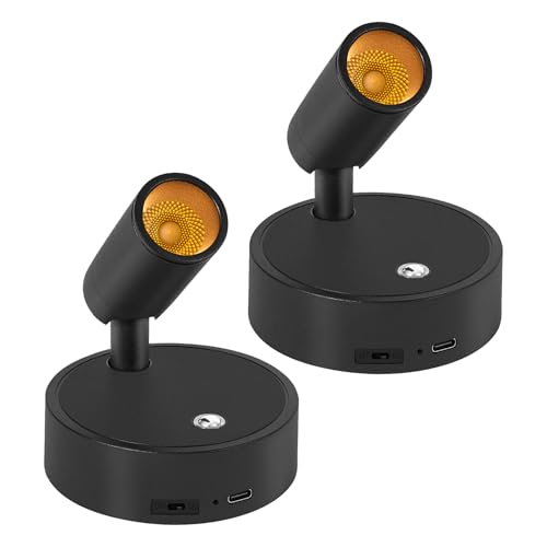 Thumbnail 8 de Dehobo Focos para Interiores con Control Remoto 2 Unidad - 3 Modos de Luz Foco LED Recargable con Temporizador y Ajuste de Brillo - Ajuste Ángulo 350° Ideal para Plantas, Pintura y Obras de Arte