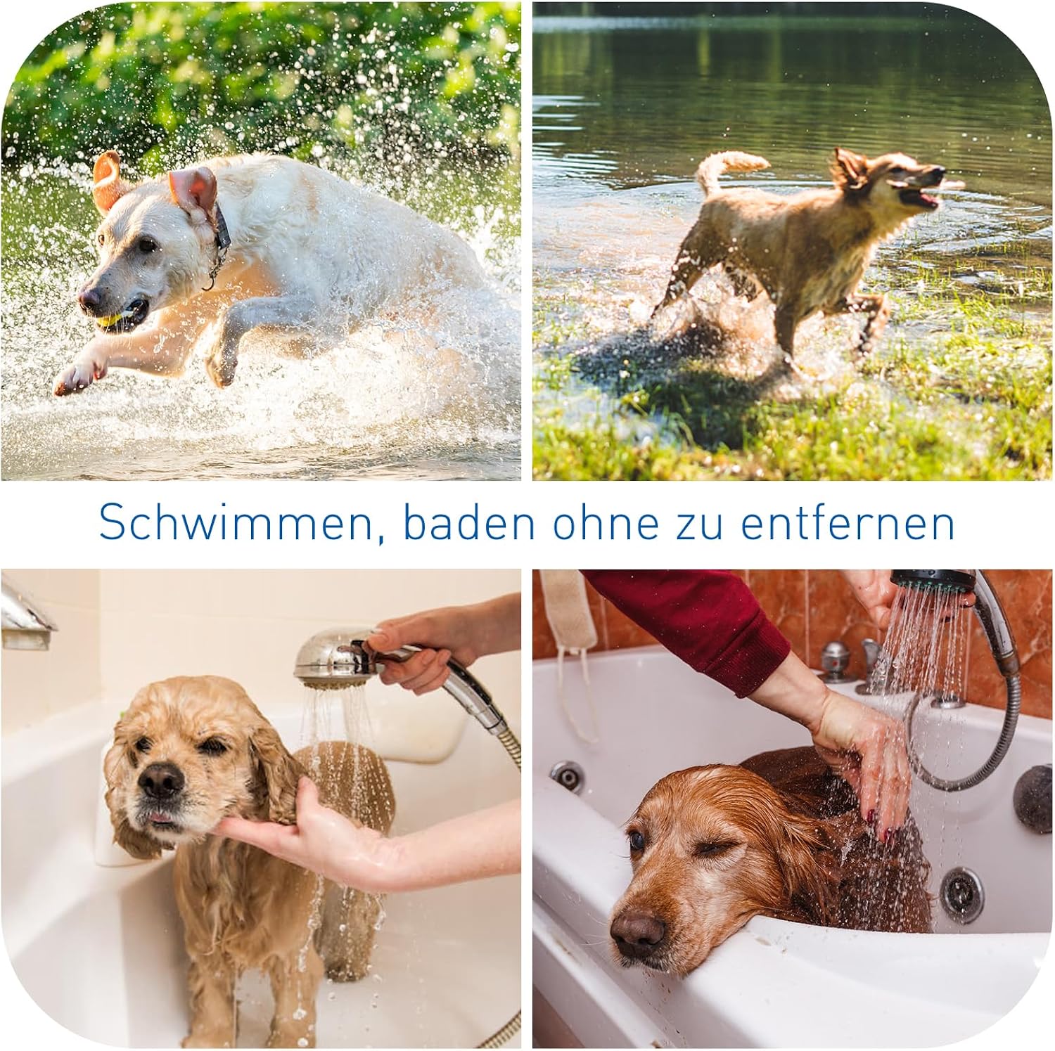 Thumbnail 4 de DEWEL Zeckenhalsband 63,5 cm für Hunde – 8 Monate Schutz