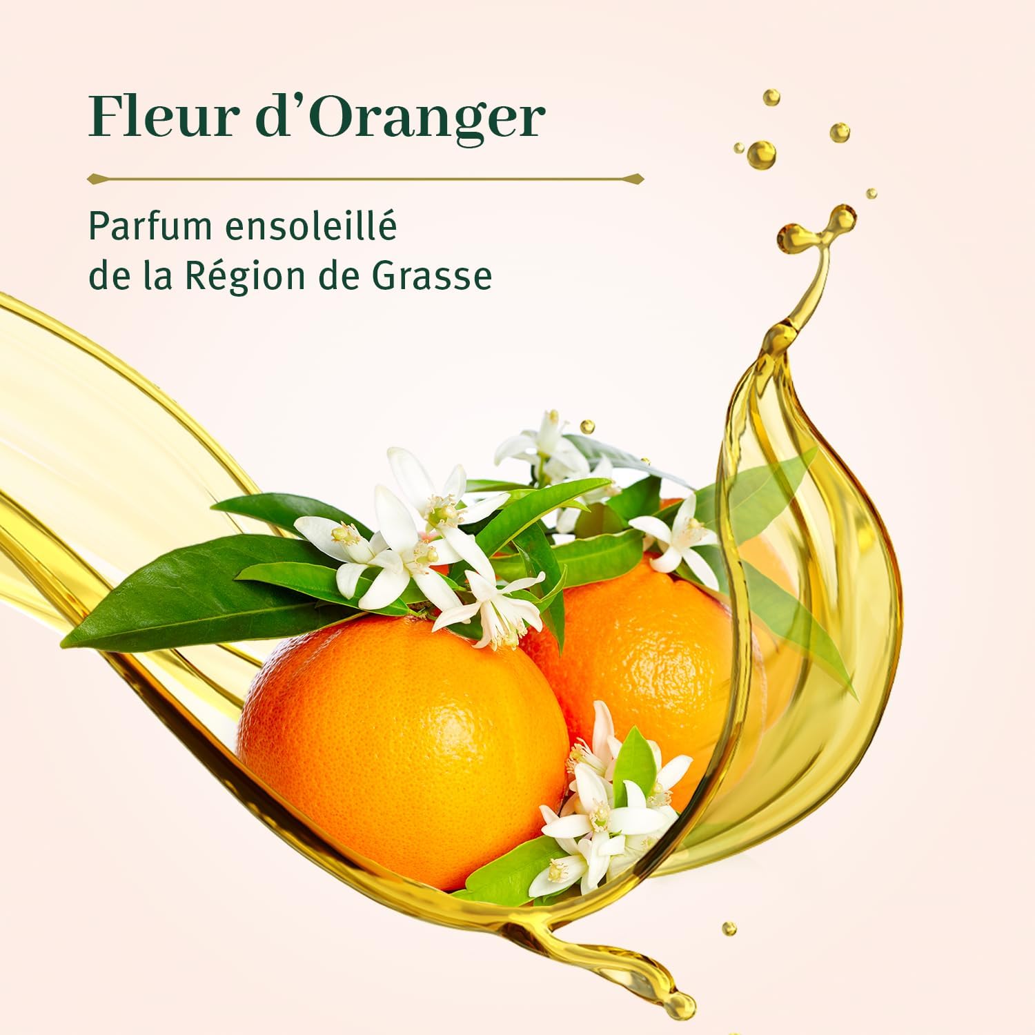 Thumbnail 3 de LE PETIT OLIVIER Lot de 12 – Savon Liquide de Marseille Fleur d'Oranger, 300 ml