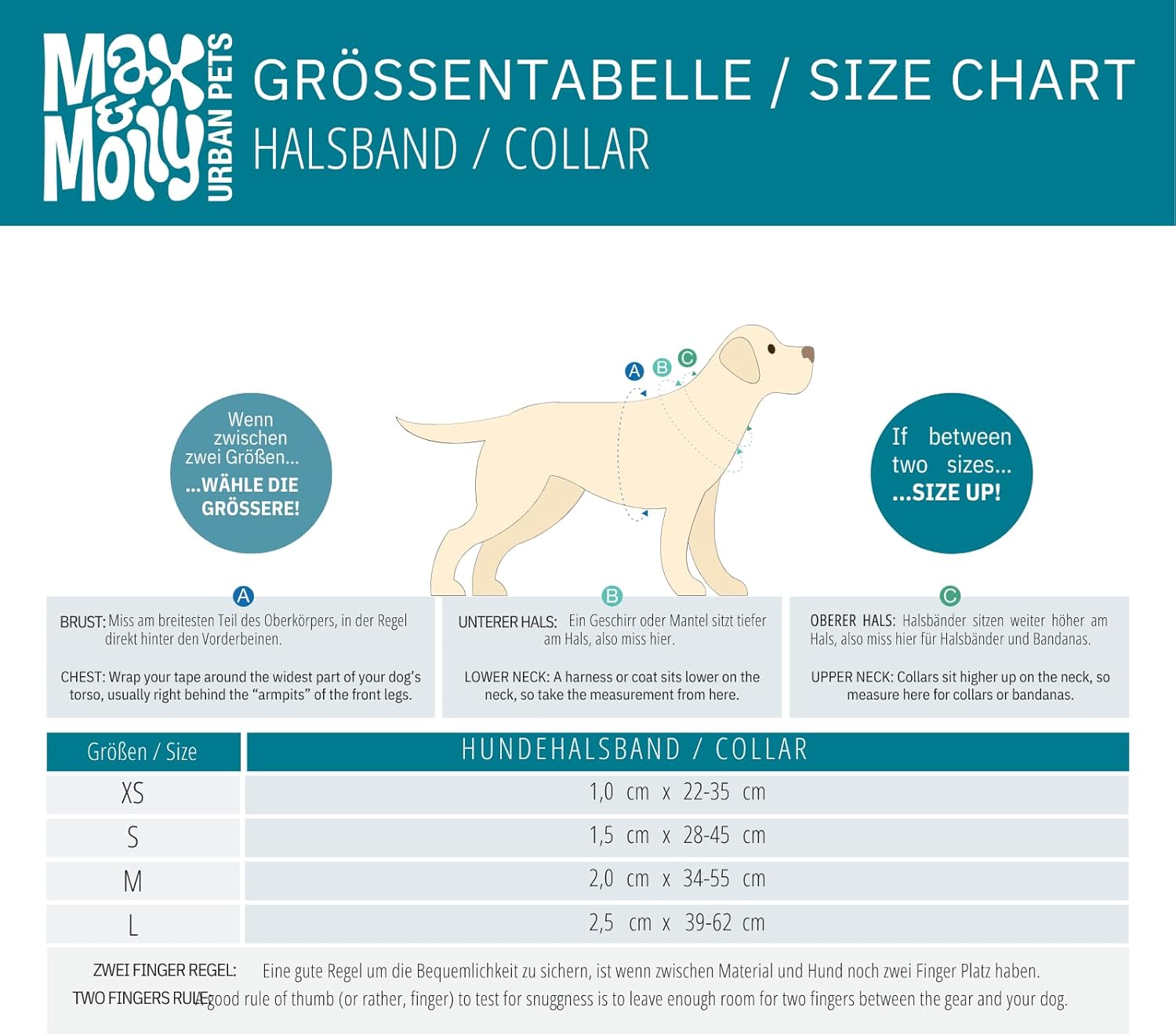 Thumbnail 6 de Max & Molly Gotcha! Smart ID Hundehalsband Magical (mit QR-Code), M