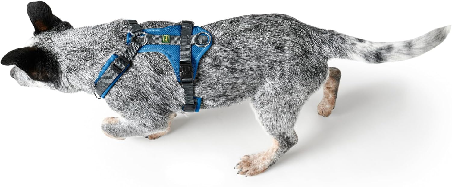 Detalle de Hunter Maldon UP Hundegeschirr XS–S in Blau/Grau – reflektierend, gepolstert, 4-fach verstellbar