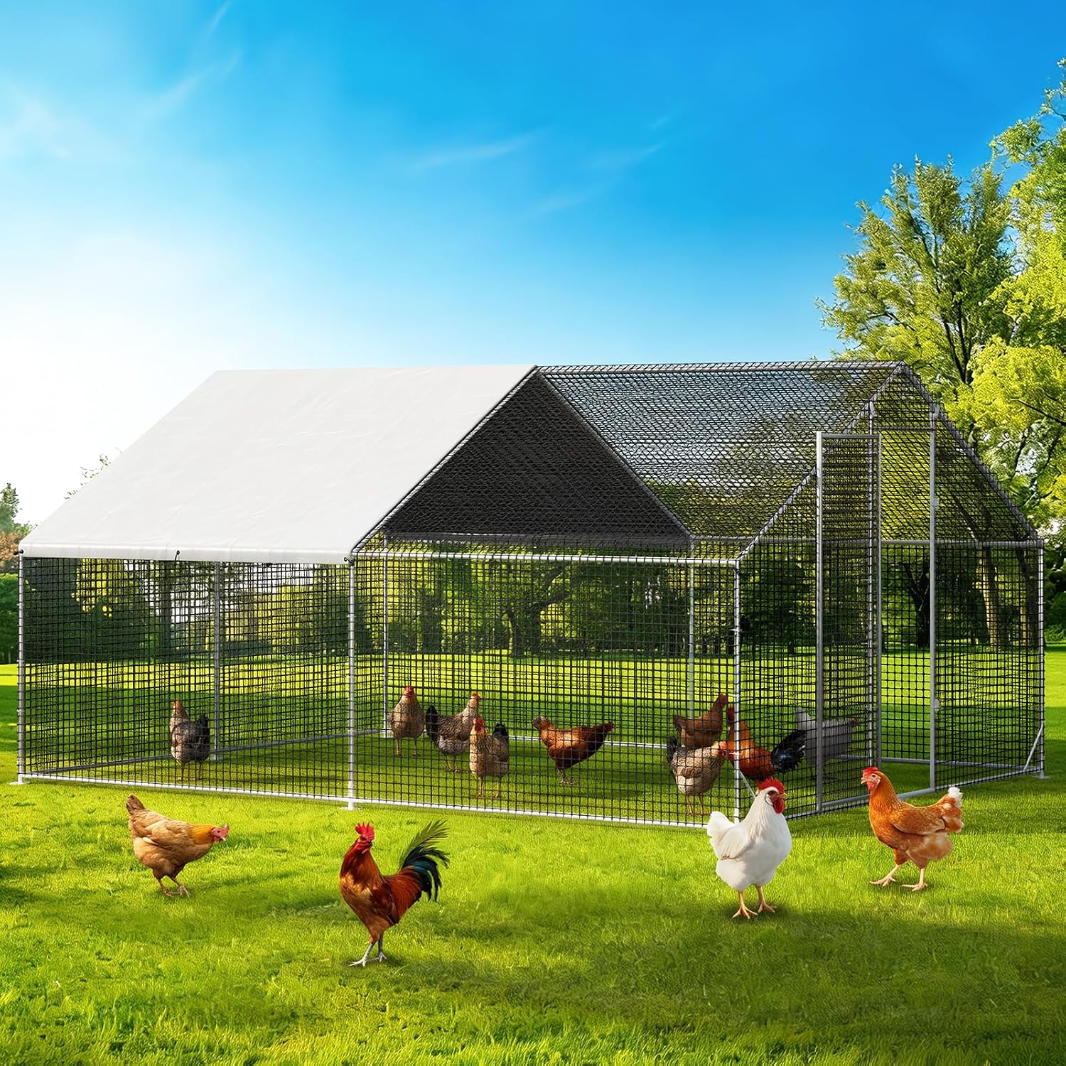 Detalle de Chicken Coop with Run, 13.1 x 9.8 x 6.6 ft