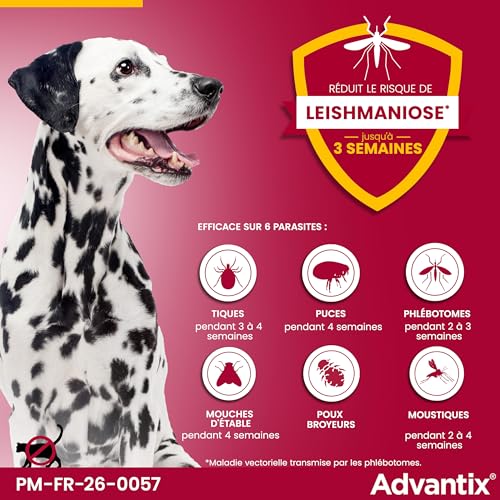 Detalle de Advantix Chien Moyen (10–25 kg) – Pipettes antiparasitaires à action large, 6 parasites, 4 semaines de protection