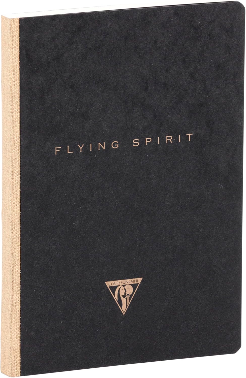 Thumbnail 2 de Clairefontaine 102546C – Paquet de 5 carnets Flying Spirit 192 pages ivoire, 14,8x21 cm, couverture noire avec finition or