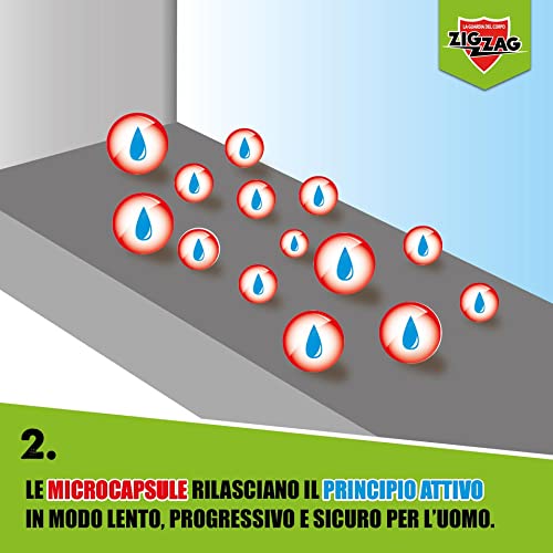 Thumbnail 3 de ZIG ZAG Cimici 500 ml: insetticida microincapsulato a lenta liberazione per uso interno/esterno