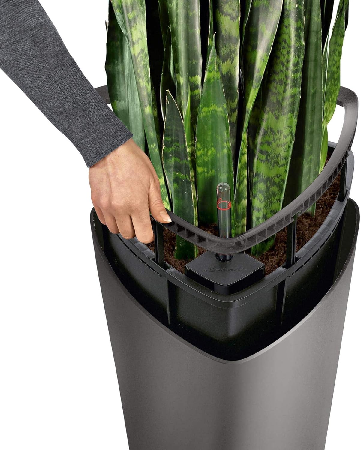 Thumbnail 5 de LECHUZA Delta Premium 40 vaso autoirrigante