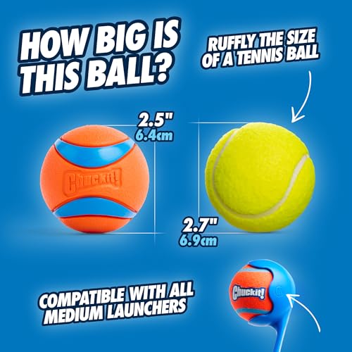 Thumbnail 3 de Chuckit Ultra Ball Medium 2 pelotas para perros