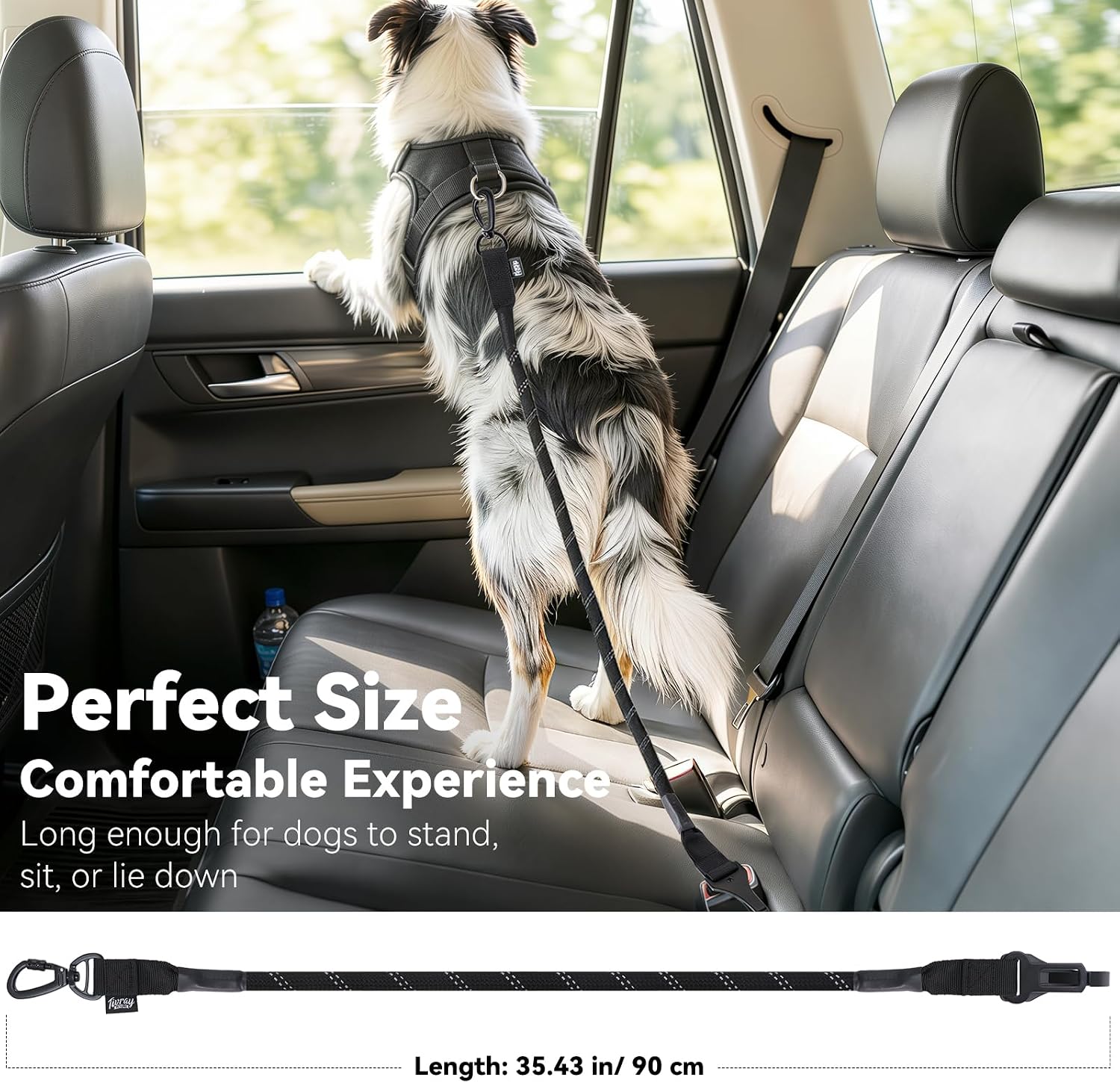 Detalle 1 de Tivray Dog Seat Belt, Nylon