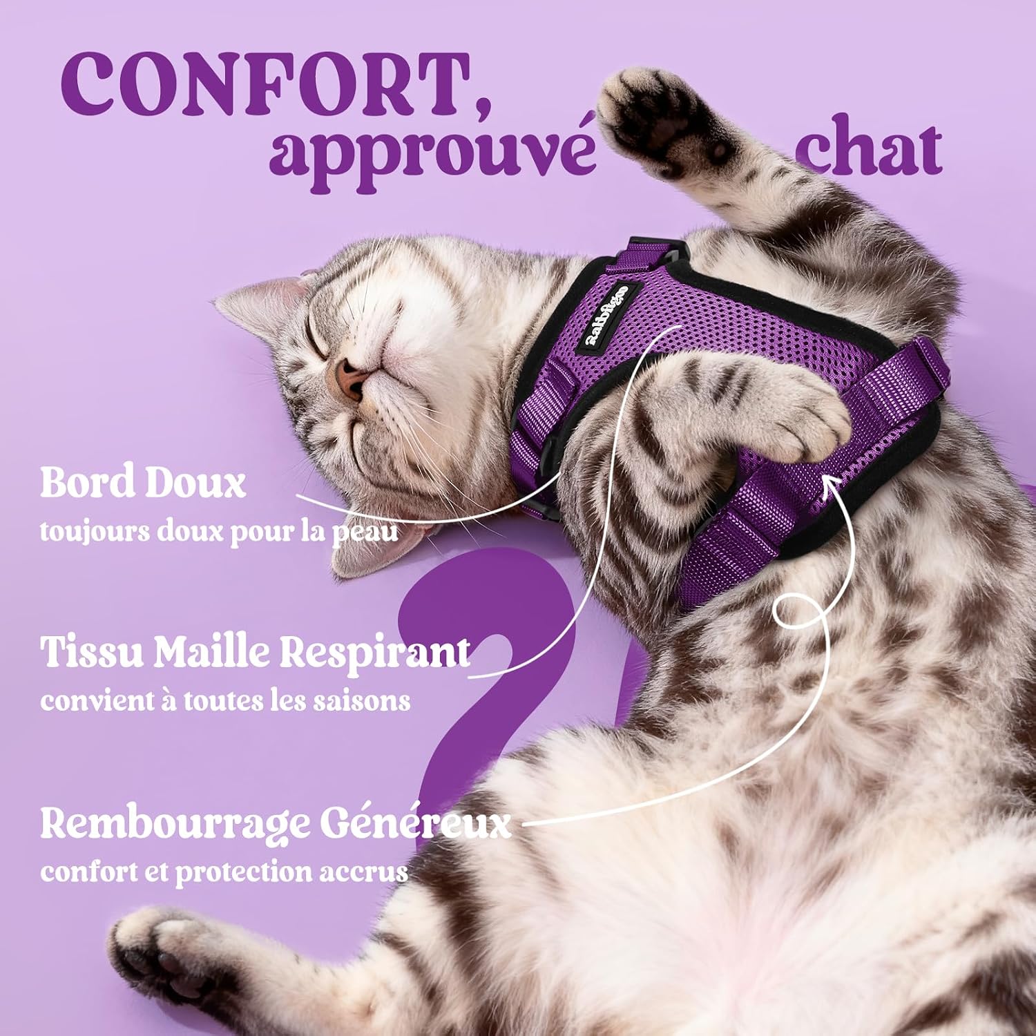 Thumbnail 3 de rabbitgoo Harnais et laisse pour chat violet taille XS : harnais souple réglable anti-fugue