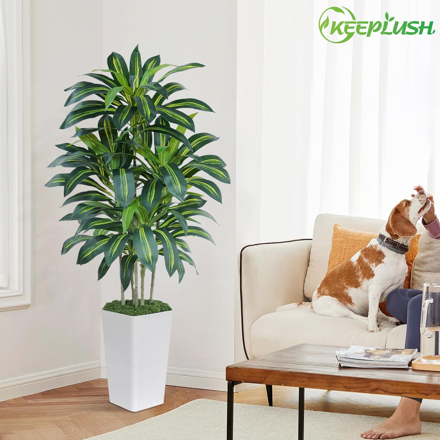 Thumbnail 6 de Keeplush Dracaena Kunstpflanze 150 cm mit Weißem Pflanzgefäß – realistische Kunststoffpalme