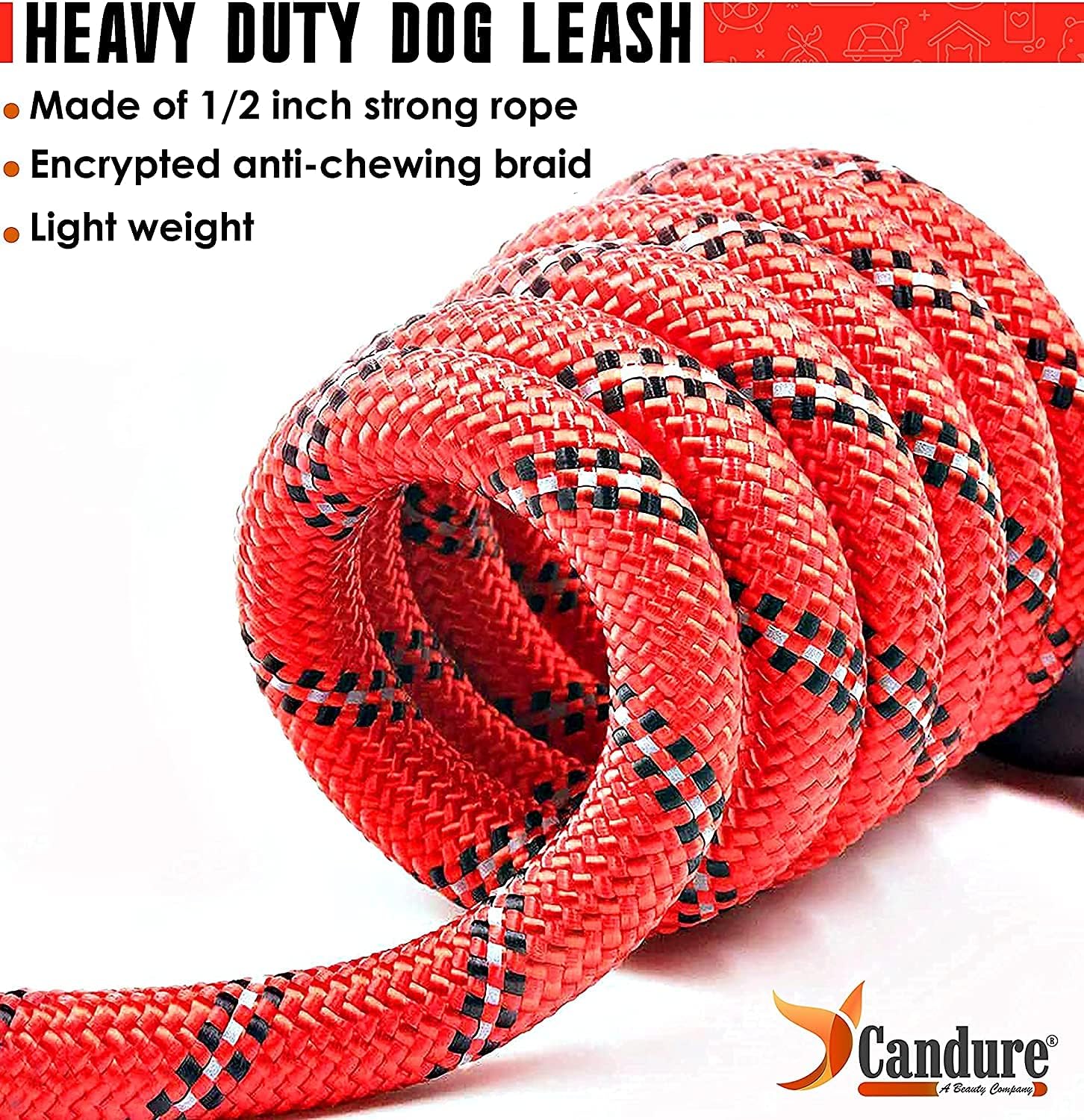 Detalle de Candure Guinzaglio per Cani Elastico Riflettente 5ft: Nylon, Impugnatura imbottita e Clip robusta