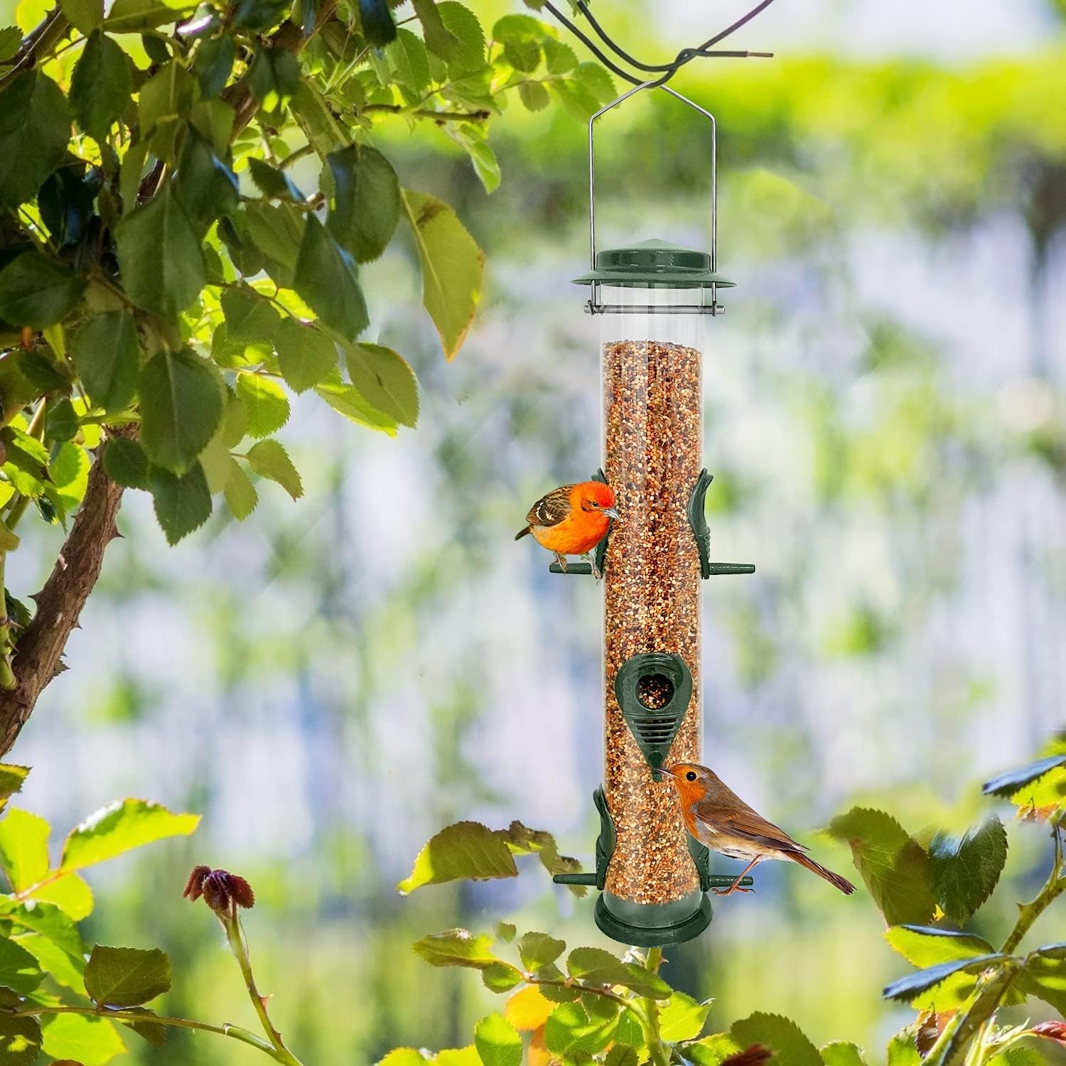 Thumbnail 5 de Metal Bird Feeder Tube Hanging Feeders (6 Port) Weatherproof Metal Tube Seed Feeder with Steel Hanger – Green