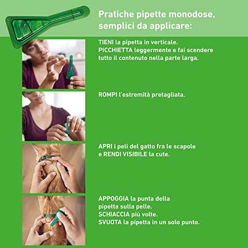 Thumbnail 3 de FRONTLINE Combo per Gatti, Gattini e Furetti – Confezione 6 Pipette da 0,5 ml, antiparassitario a lunga durata