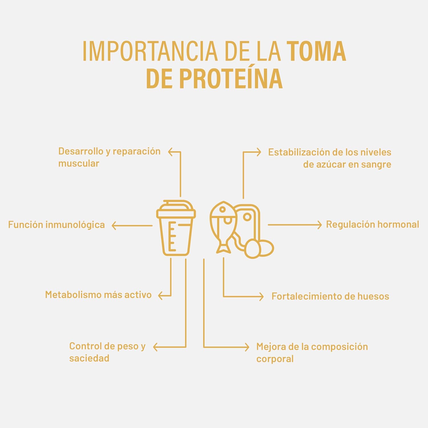 Thumbnail 5 de Beverly ZERO DELICATESSE Proteína Hidrolizada Whey 85% 🍌