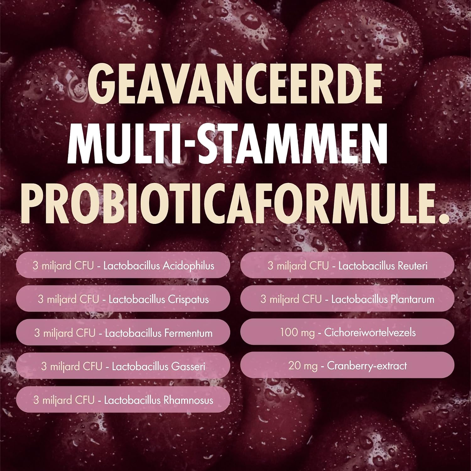 Detalle 2 de Incite Nutrition Probiotica voor Vrouwen met 21 miljard CFU, cranberry en prebiotica