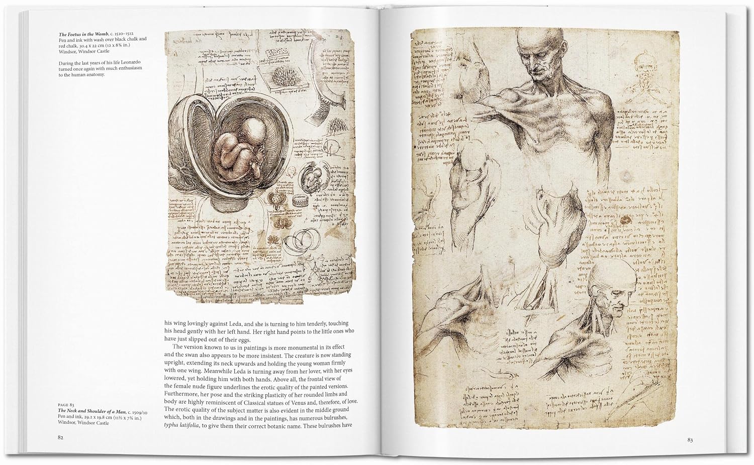 Thumbnail 6 de Leonardo: 1452-1519: Artist and Scientist book
