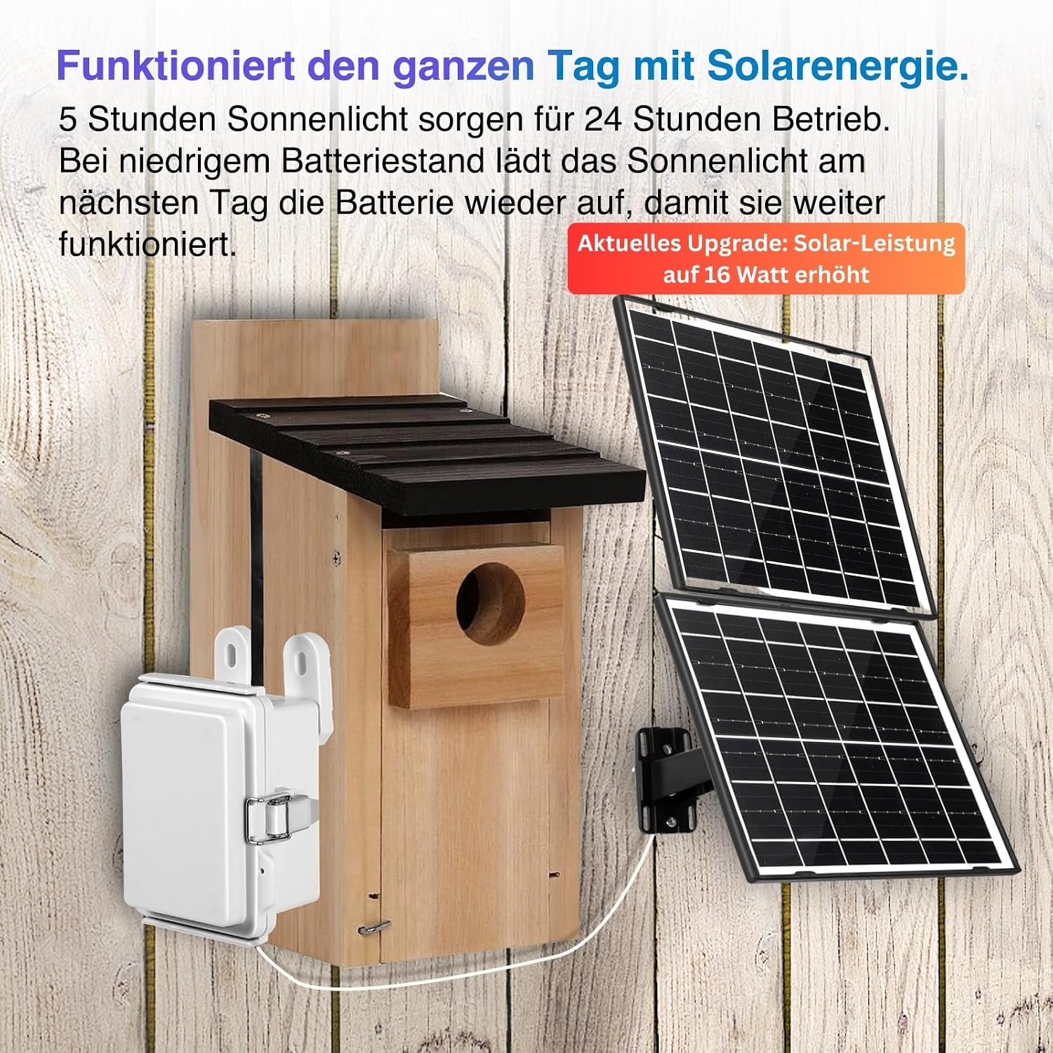 Detalle 1 de WIWACAM WLAN Solar Kamera für Nistkästen 256 GB kompatibel