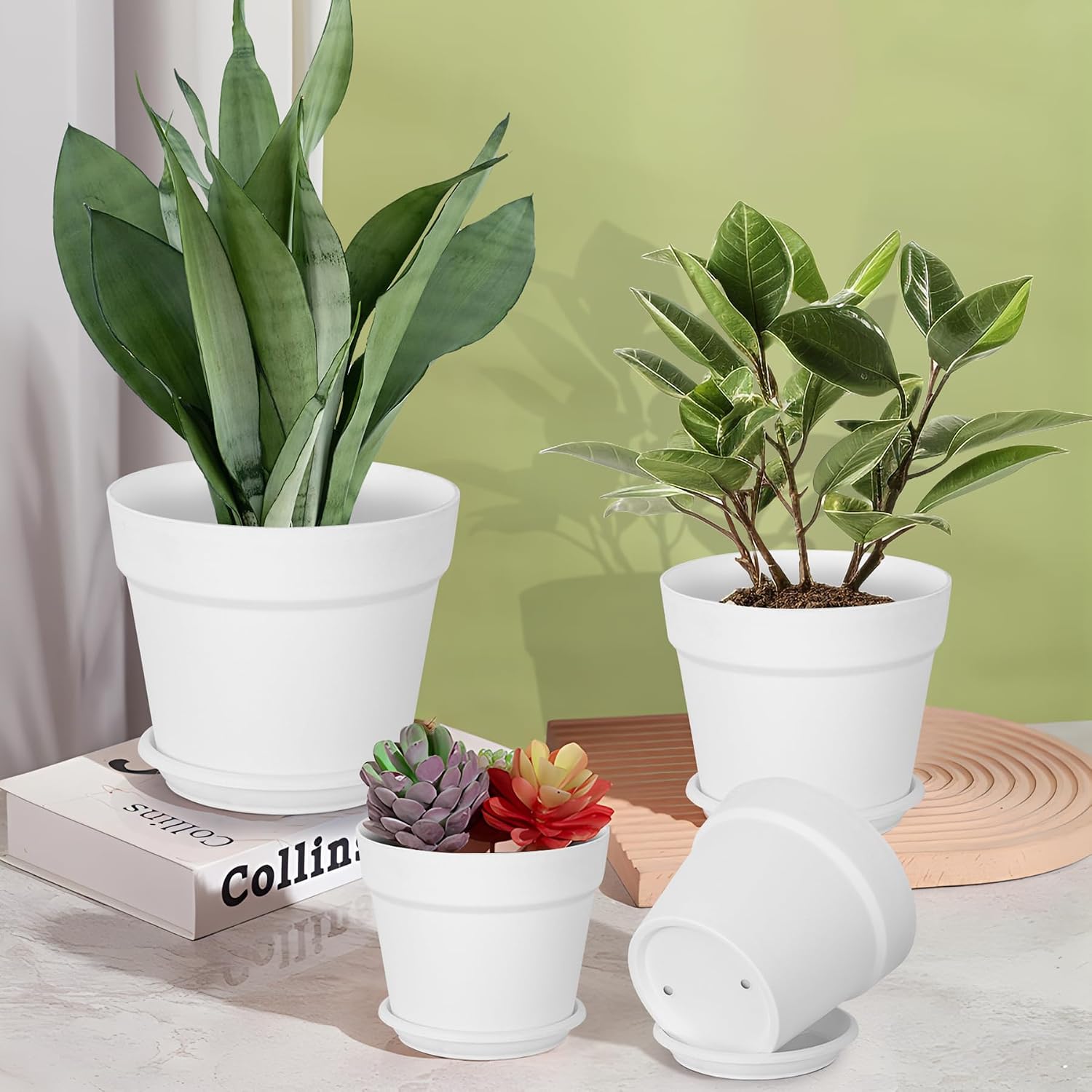 Thumbnail 6 de Solvant: Set di 6 vasi per piante da esterno con sottobicchieri e do entrati, 16 cm, bianco