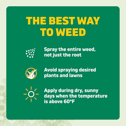 Thumbnail 8 de Spruce Weed Killer Refill for Spray Weed & Grass Killer Kit (64 Oz)