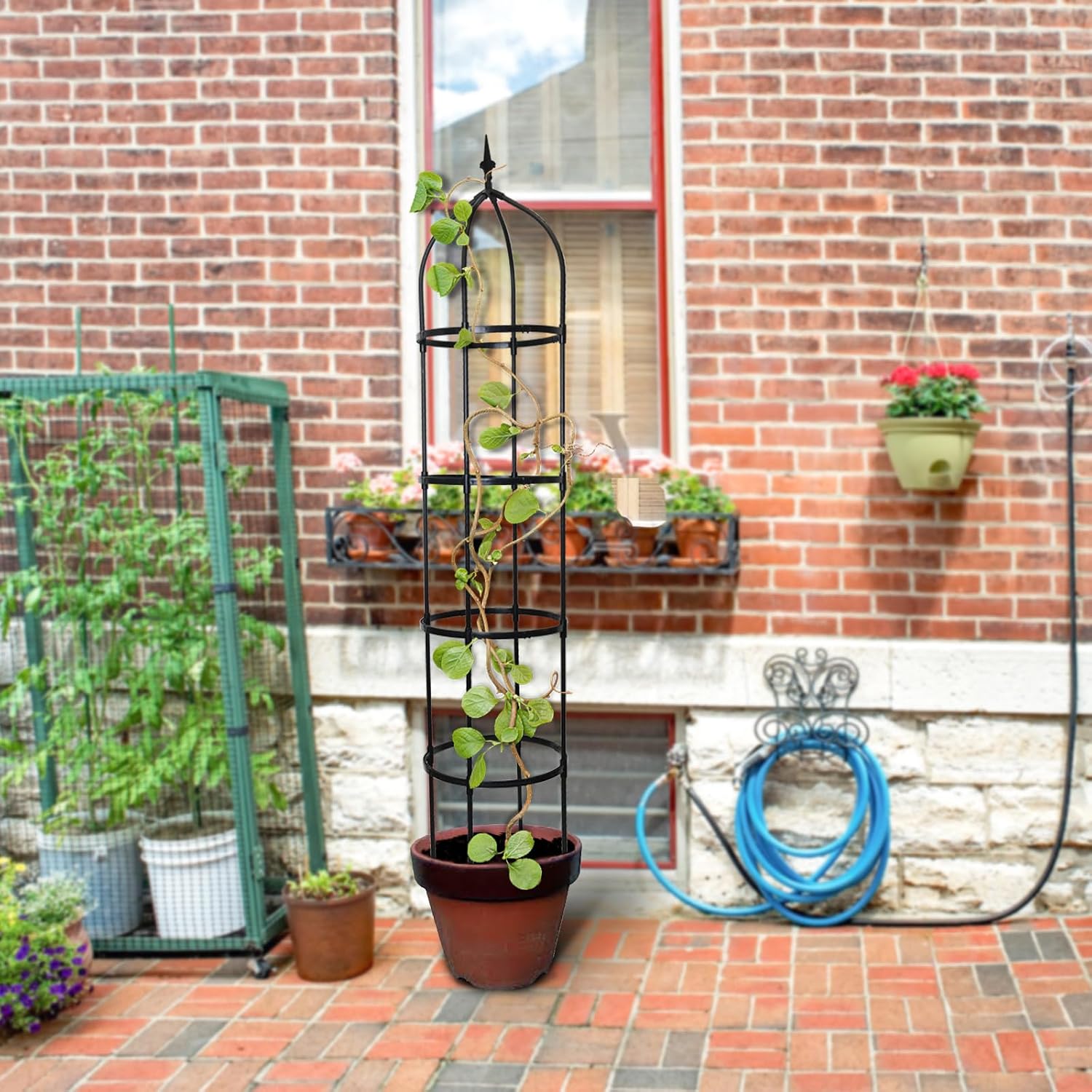 Thumbnail 6 de PICK FOR LIFE Garden Trellis 145cm