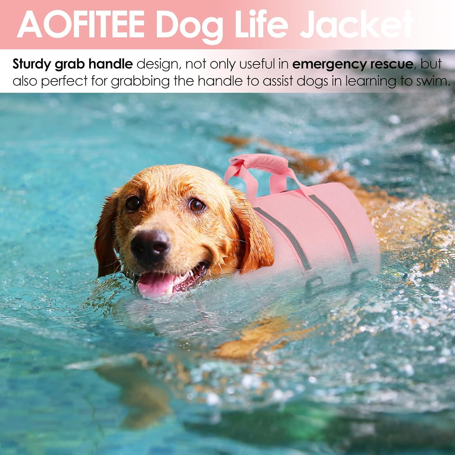 Detalle de AOFITEE Gilet de Sauvetage pour Chien – Réglable, Haute Flottaison avec Poignée et Fermeture Éclair
